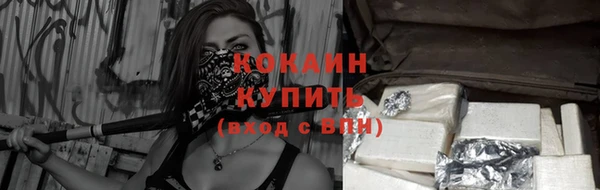прущие крисы Абаза