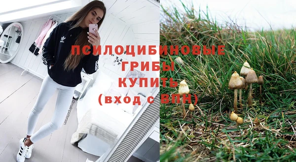 гидра Елабуга