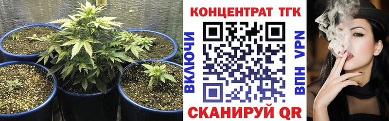 ТГК Wax  как найти   Норильск 
