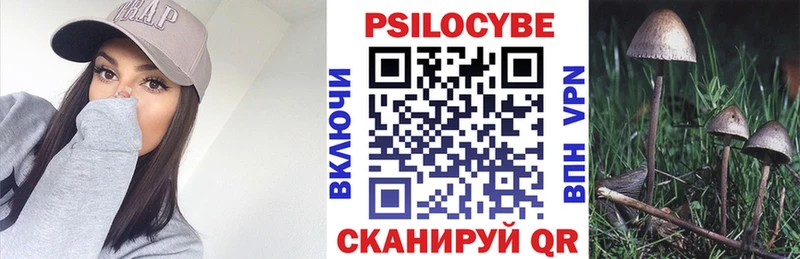 Галлюциногенные грибы мицелий  кракен вход  Норильск 